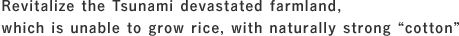 Revitalize the Tsunami devastated farmland, which is unable to grow rice, with naturally strong "cotton"