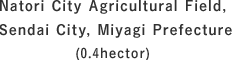 Natori City Agricultural Field　(0.4 hector)