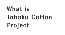 What is Tohoku Cotton Project