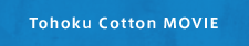 Tohoku Cotton MOVIE