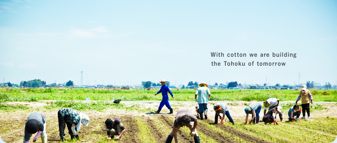 with cotton we are building the Tohoku of tomorrow