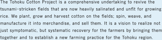 The Tohoku Cotton Project is a comprehensive undertaking to revive the tsunami-stricken fields that are now heavily salinated and unfit for growing rice. We plant, grow and harvest cotton on the fields; spin,weave, and manufacture it into merchandise, and sell them. It is a vision to realize not just symptomatic, but systematic recovery for the farmers by bringing them together and to establish a new farming practice for the Tohoku region.