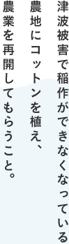 津波被害で稲作ができなくなっている農地にコットンを植え、農業を再開してもらうこと。