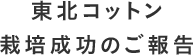 東北コットン 栽培成功のご報告