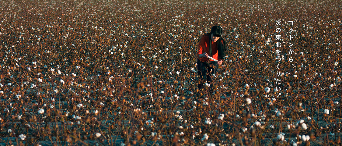 with cotton we are building the Tohoku of tomorrow