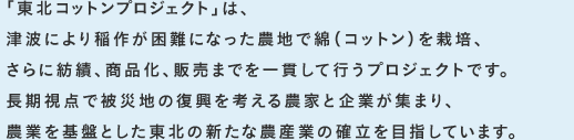 「東北コットンプロジェクト」は、津波により稲作が困難になった農地で綿（コットン）を栽培、さらに紡績、商品化、販売までを一貫して行うプロジェクトです。長期視点で被災地の復興を考える農家と企業が集まり、農業を基盤とした東北の新たな農産業の確立を目指しています。