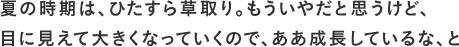 夏の時期は、ひたすら草取り。もういやだと思うけど、目に見えて大きくなっていくので、ああ成長しているな、と