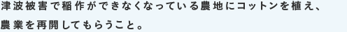 津波被害で稲作ができなくなっている農地にコットンを植え、農業を再開してもらうこと。